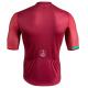 Maillot CAMPAGNOLO IRIDIO Bordeaux : M , L