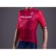 Maillot CAMPAGNOLO IRIDIO Bordeaux : M , L