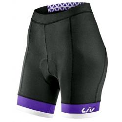 Cuissard GIANT BeLiv Shorts Sans Bretelles