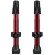 Paire de Valves Tubeless WTB TCS 46mm Presta