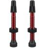 Paire de Valves Tubeless WTB TCS 46mm Presta