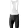 Cuissard Court SPECIALIZED RBX - XXL