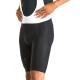 Cuissard Court SPECIALIZED RBX - XXL