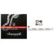 Chaine CAMPAGNOLO Record C10 - 10v