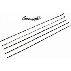 Set de 5 Rayons CAMPAGNOLO SCIROCCO 2007