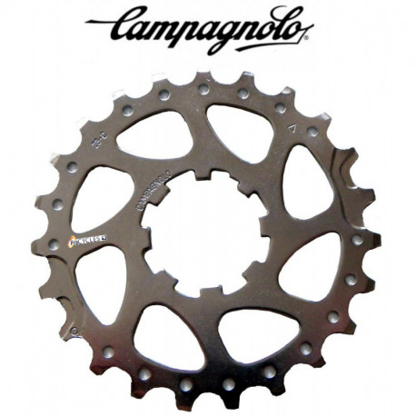 Pignon Individuel CAMPAGNOLO VELOCE/CENTAUR 10vit